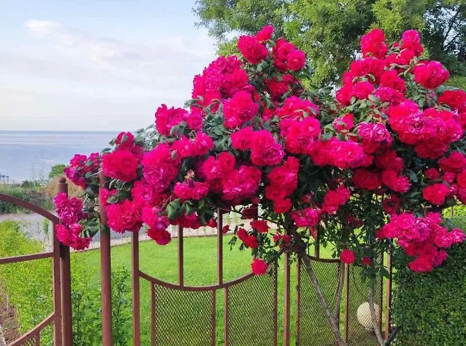 в комплекс зора 9a * Созополь