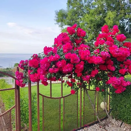 в комплекс зора 9a * سوزوبول